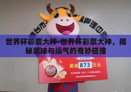 世界杯彩票大神-世界杯彩票大神，揭秘足球与运气的奇妙碰撞