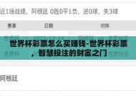 世界杯彩票怎么买赚钱-世界杯彩票，智慧投注的财富之门