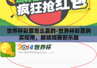 世界杯彩票怎么卖的-世界杯彩票购买指南，解锁观赛新乐趣