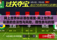 网上世界杯彩票在哪里-网上世界杯彩票的合法性与风险，理性参与的智慧