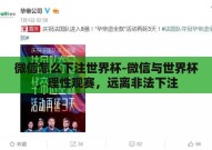 微信怎么下注世界杯-微信与世界杯，理性观赛，远离非法下注