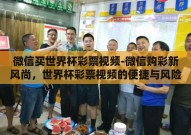 微信买世界杯彩票视频-微信购彩新风尚，世界杯彩票视频的便捷与风险