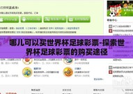 哪儿可以买世界杯足球彩票-探索世界杯足球彩票的购买途径
