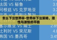 怎么下注世界杯-世界杯下注策略，理性与激情的平衡