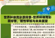 世界杯体育彩票停售-世界杯体育彩票停售，理性审视与未来展望