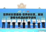 世界杯彩票查询-世界杯彩票，解锁激情与机遇的数字游戏