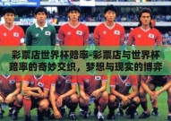 彩票店世界杯赔率-彩票店与世界杯赔率的奇妙交织，梦想与现实的博弈