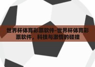 世界杯体育彩票软件-世界杯体育彩票软件，科技与激情的碰撞