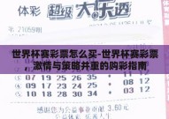 世界杯赛彩票怎么买-世界杯赛彩票，激情与策略并重的购彩指南