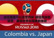 微信哪里可以买世界杯-微信购球新途径，解锁世界杯观赛新体验