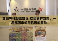 买世界杯彩票赚钱-买世界杯彩票，一场充满未知与机遇的冒险