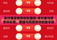 支付宝买世界杯彩票吗-支付宝与世界杯彩票，便捷与风险并存的数字娱乐新选择