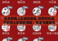 世界杯网上彩票在哪里-世界杯热潮下的网上彩票新体验，安全与便捷并行的探索