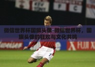 微信世界杯国旗头像-微信世界杯，国旗头像的狂欢与文化共鸣