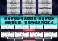 世界杯亚洲预选赛彩票-世界杯亚洲预选赛彩票，梦想与机遇的交汇点