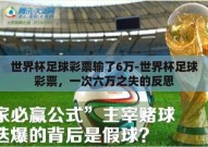世界杯足球彩票输了6万-世界杯足球彩票，一次六万之失的反思