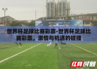 世界杯足球比赛彩票-世界杯足球比赛彩票，激情与机遇的碰撞