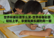 世界杯赛彩票怎么买-世界杯赛彩票，轻松上手，享受观赛乐趣的另一面