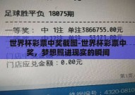 世界杯彩票中奖截图-世界杯彩票中奖，梦想照进现实的瞬间