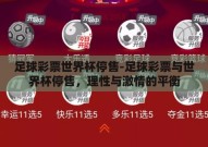 足球彩票世界杯停售-足球彩票与世界杯停售，理性与激情的平衡