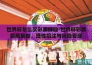 世界杯怎么买彩票保稳-世界杯彩票稳赢策略，理性投注与风险管理