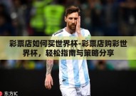 彩票店如何买世界杯-彩票店购彩世界杯，轻松指南与策略分享