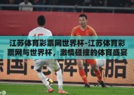 江苏体育彩票网世界杯-江苏体育彩票网与世界杯，激情碰撞的体育盛宴