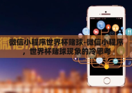 微信小程序世界杯赌球-微信小程序，世界杯赌球现象的冷思考
