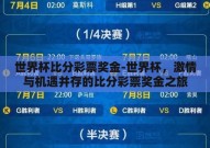 世界杯比分彩票奖金-世界杯，激情与机遇并存的比分彩票奖金之旅