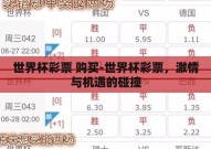 世界杯彩票 购买-世界杯彩票，激情与机遇的碰撞