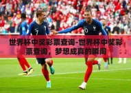世界杯中奖彩票查询-世界杯中奖彩票查询，梦想成真的瞬间