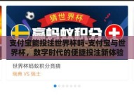 支付宝能投注世界杯吗-支付宝与世界杯，数字时代的便捷投注新体验