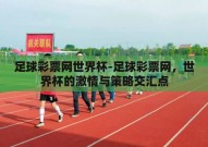 足球彩票网世界杯-足球彩票网，世界杯的激情与策略交汇点