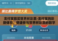 支付宝能买世界杯彩票-支付宝购彩新体验，便捷参与世界杯彩票的数字浪潮