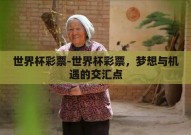 世界杯彩票-世界杯彩票，梦想与机遇的交汇点