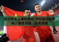 支付宝怎么赌世界杯-支付宝与世界杯，理性观赛，远离赌博