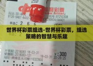 世界杯彩票组选-世界杯彩票，组选策略的智慧与乐趣