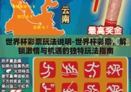 世界杯彩票玩法说明-世界杯彩票，解锁激情与机遇的独特玩法指南