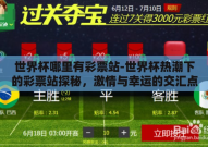 世界杯哪里有彩票站-世界杯热潮下的彩票站探秘，激情与幸运的交汇点