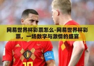 网易世界杯彩票怎么-网易世界杯彩票，一场数字与激情的盛宴