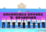 世界杯体育彩票玩法-世界杯体育彩票，激情与策略的碰撞