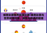 体育彩票世界杯淘汰赛-体育彩票与世界杯淘汰赛，激情与机遇的碰撞
