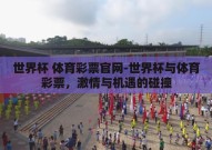 世界杯 体育彩票官网-世界杯与体育彩票，激情与机遇的碰撞