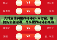 支付宝能买世界杯体彩-支付宝，便捷购彩新渠道，尽享世界杯体彩乐趣