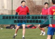 足球世界杯玩法介绍-足球世界杯，一场激情与策略的盛宴