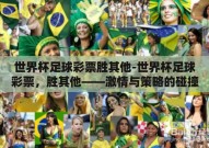 世界杯足球彩票胜其他-世界杯足球彩票，胜其他——激情与策略的碰撞