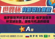 俄罗斯世界杯足球彩票-俄罗斯世界杯足球彩票，激情与机遇的碰撞