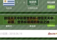 微信天天中彩票世界杯-微信天天中彩票，世界杯期间的幸运之选