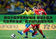 微信小程序世界杯赌球-微信小程序与世界杯赌球，数字时代的娱乐与风险交织