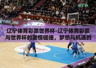 辽宁体育彩票世界杯-辽宁体育彩票与世界杯的激情碰撞，梦想与机遇的交响曲